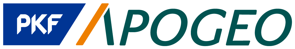 PKF APOGEO Group, SE